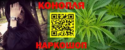 прущие крисы Ставрополь