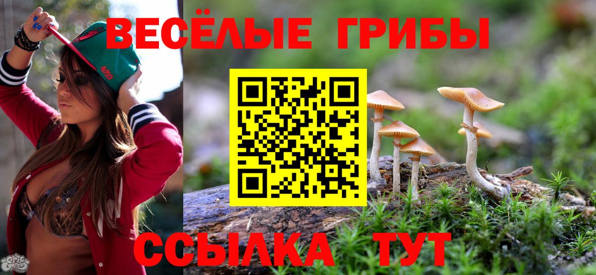 Псилоцибиновые грибы Psilocybine cubensis  Вход с VPN  Новосибирск 